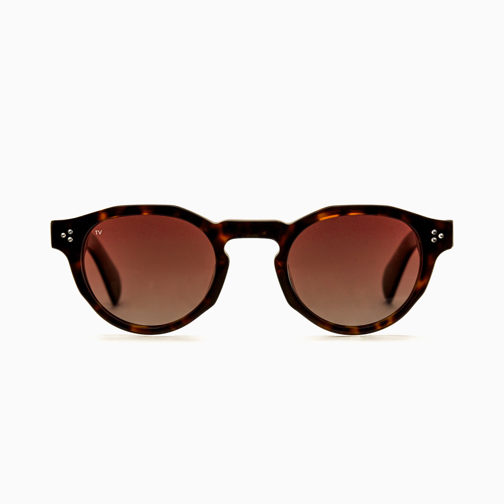AURA Polarised Sunglasses, Unisex, Brown Tortoise by TrueVivid - PUNCH Watch & Eyewear - TRUEVIVID