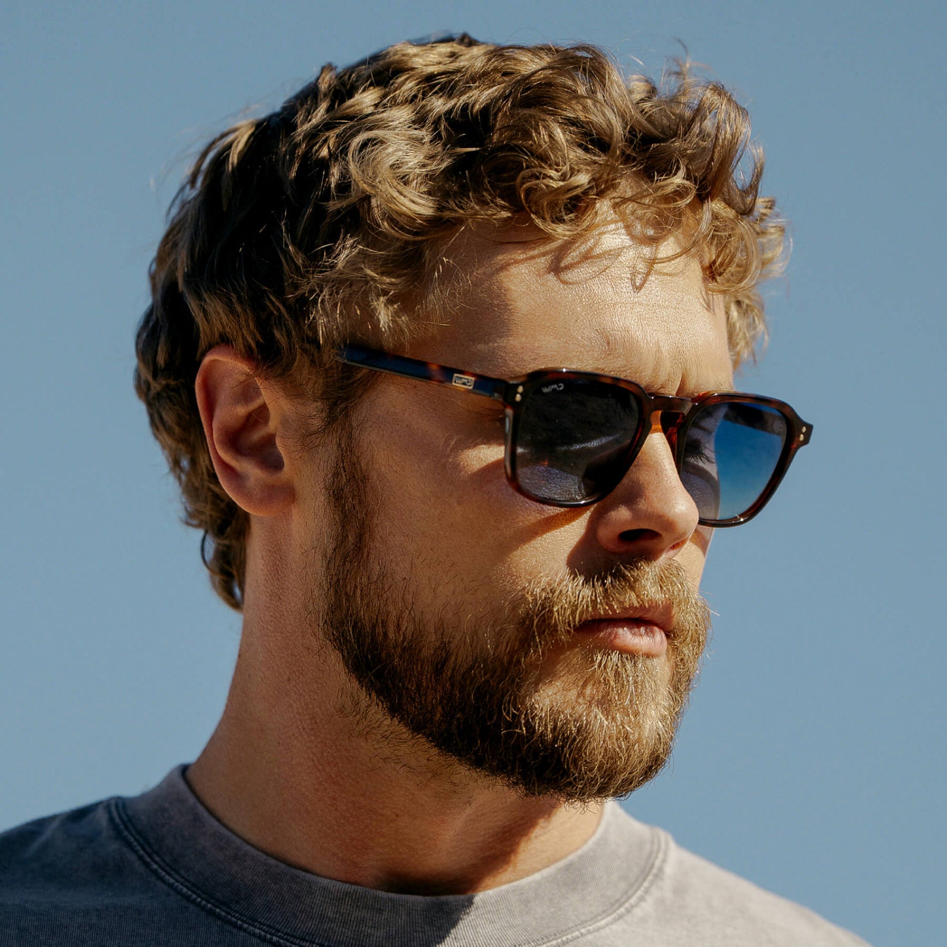 FRANCIS Men's Square Modern Retro Sunglasses in Brown Tortoise by WMP Eyewear - PUNCH Watch & Eyewear - WMP Eyewear