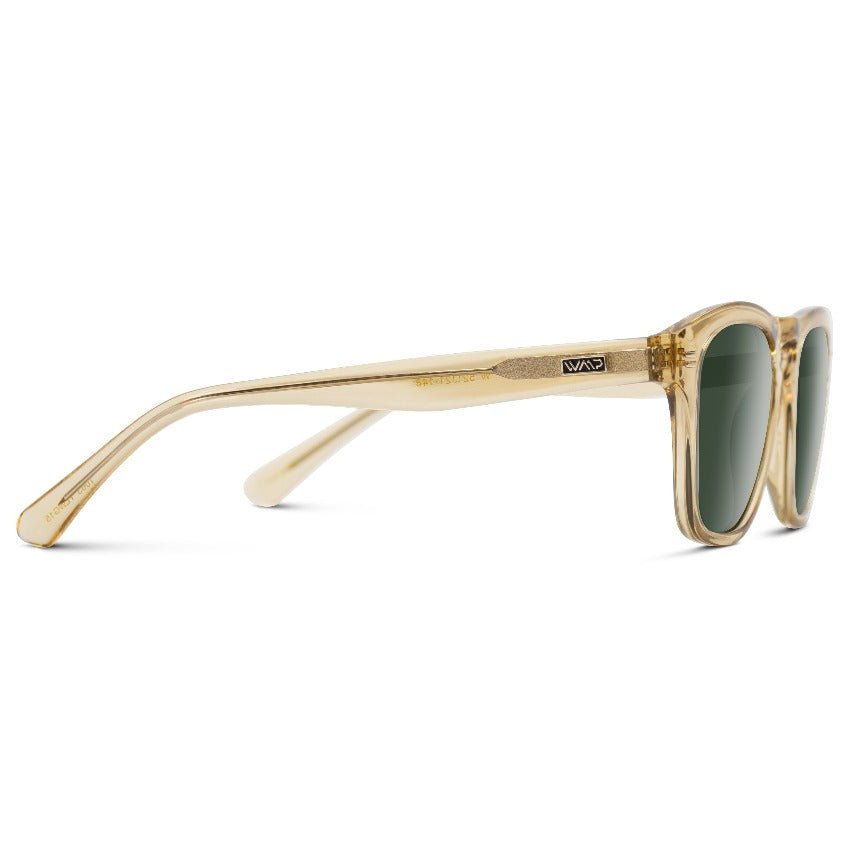 DASH Modern Unisex Sunglasses in Champagne Crystal Green by WMP Eyewear - PUNCH Watch & Eyewear - WMP Eyewear