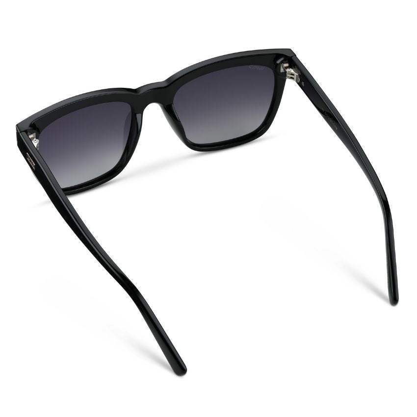 DAKOTA Thick Framed Women's Sunglasses in Black by WMP Eyewear - PUNCH Watch & Eyewear - WMP Eyewear