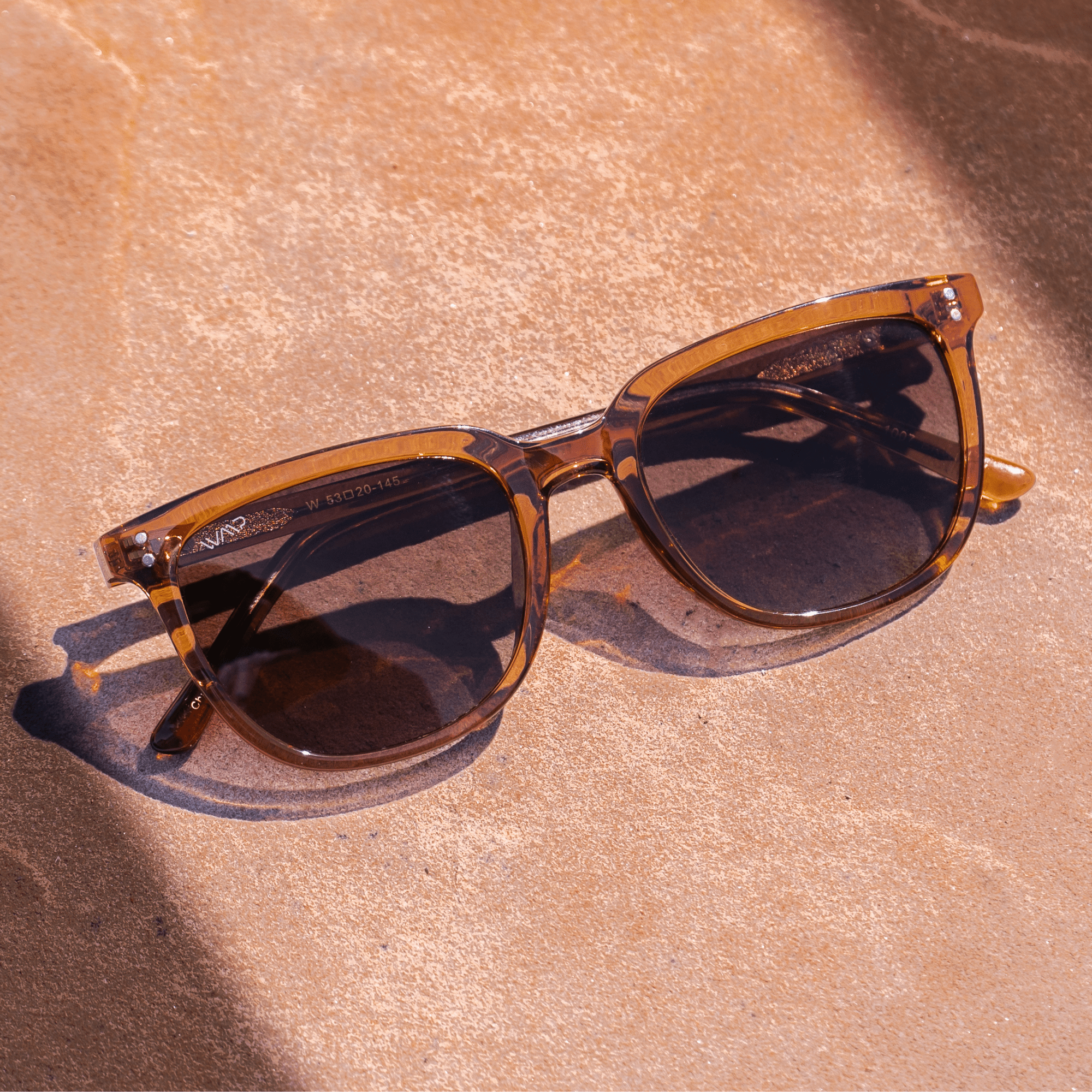 ABNER Unisex Polarized Sunglasses in Crystal Brown by WMP Eyewear - PUNCH Watch & Eyewear - WMP Eyewear