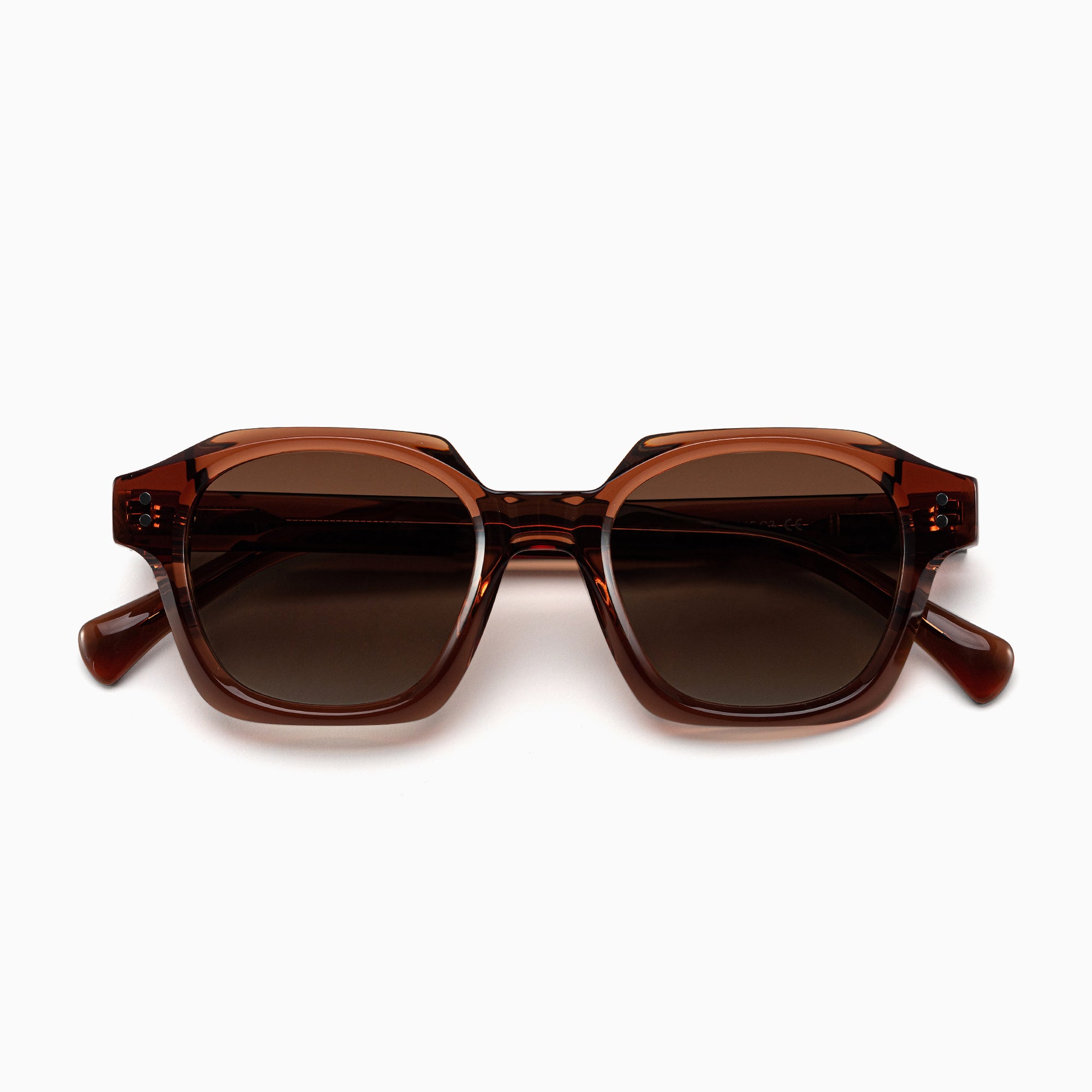 THEO Polarised Sunglasses, Unisex, Brown by TrueVivid - PUNCH Watch & Eyewear - TRUEVIVID