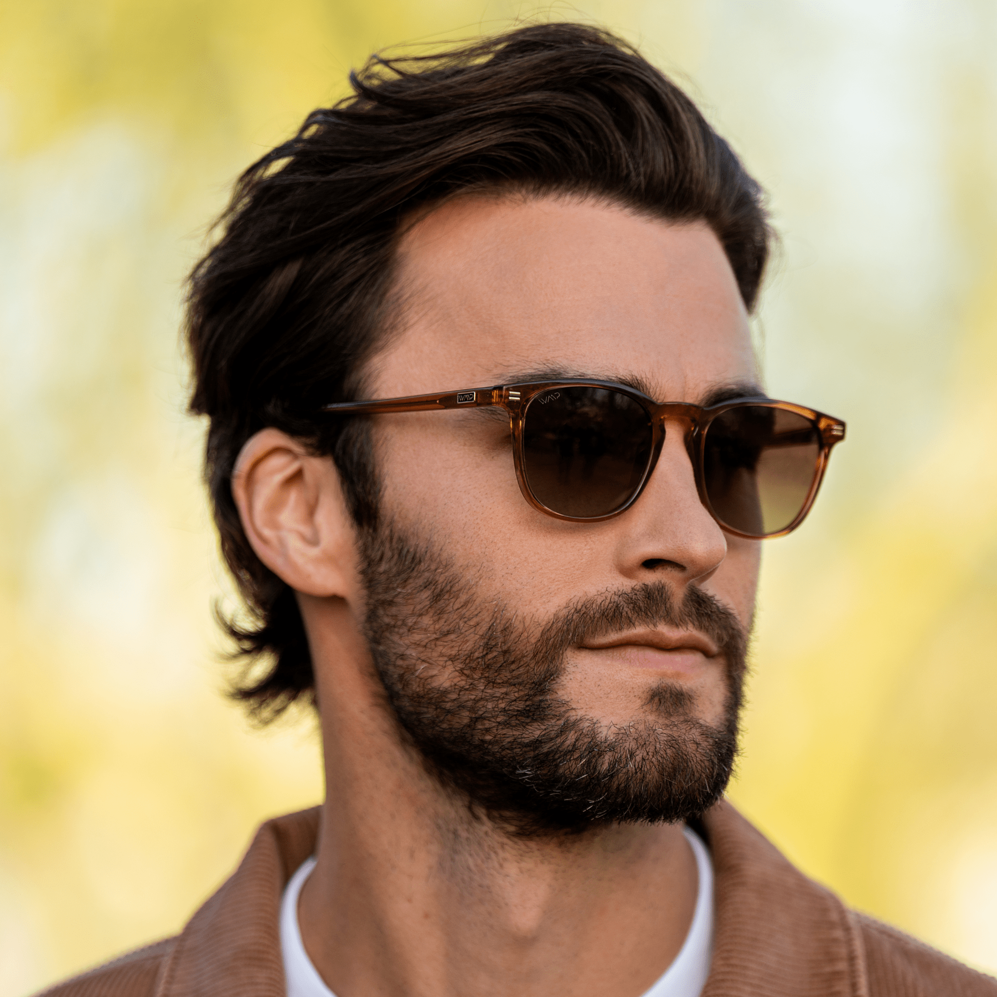 NICK Polarized Men's l Women's Sunglasses in Crystal Brown by WMP Eyewear - PUNCH Watch & Eyewear - WMP Eyewear