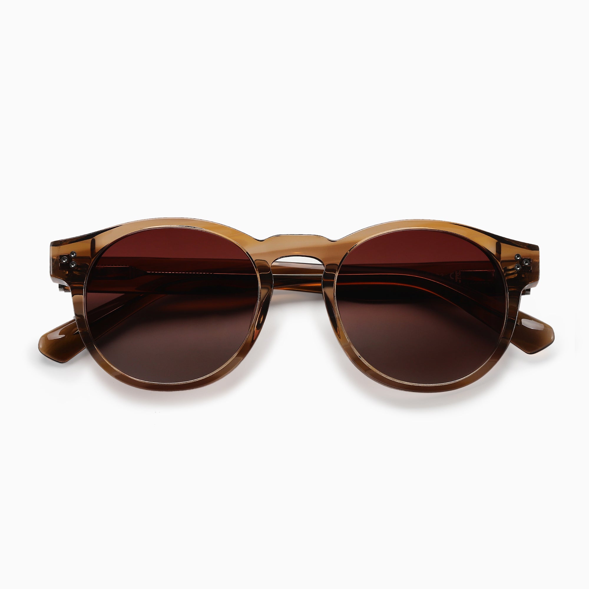 ALBA Polarised Sunglasses, Unisex, Crystal Brown, Brown Gradient by TrueVivid - PUNCH Watch & Eyewear - TRUEVIVID