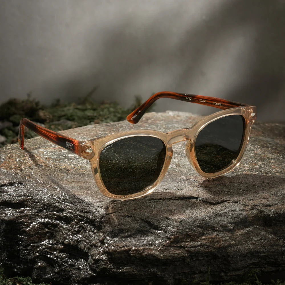 Premium sunglasses hot sale