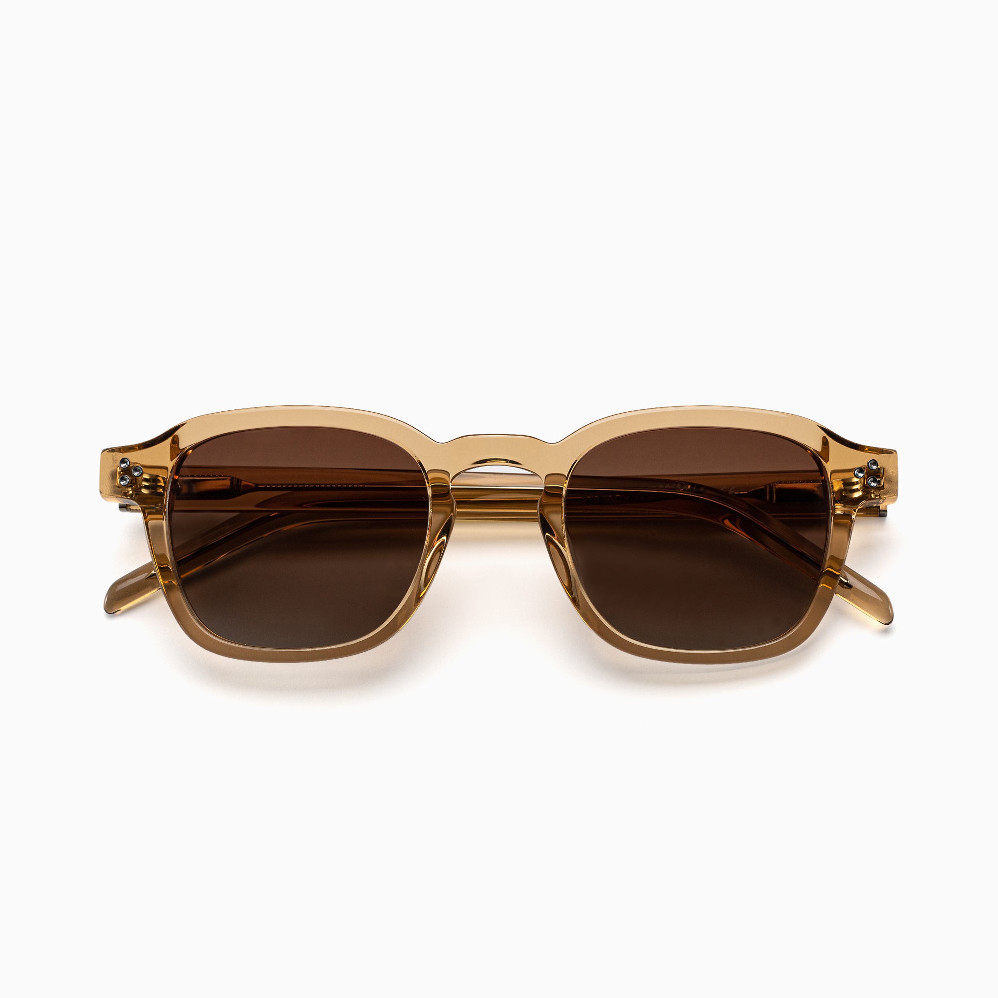 NEVA Polarised Sunglasses, Unisex, Crystal Brown, Brown Gradient by TrueVivid - PUNCH Watch & Eyewear - TRUEVIVID