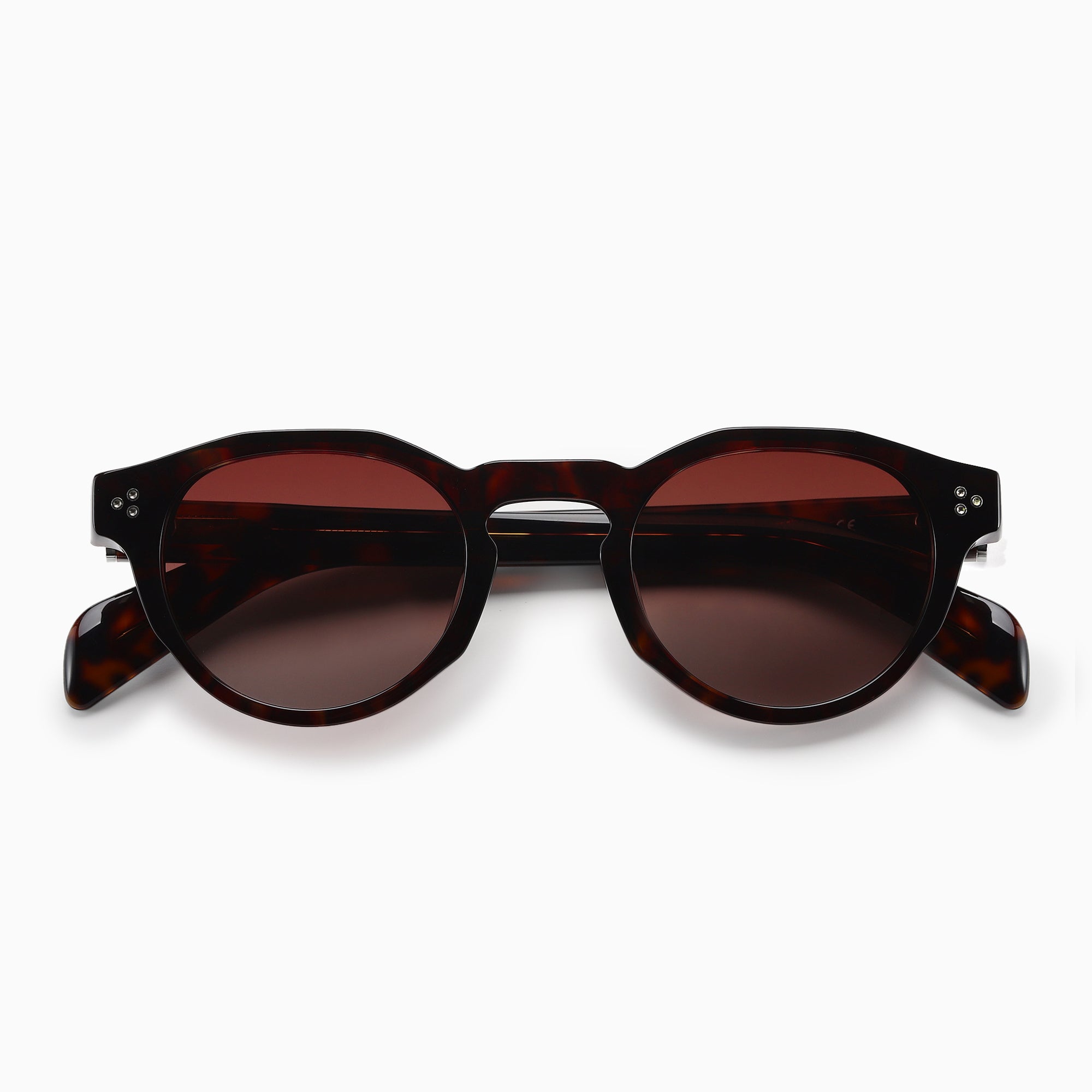 AURA Polarised Sunglasses, Unisex, Brown Tortoise by TrueVivid - PUNCH Watch & Eyewear - TRUEVIVID