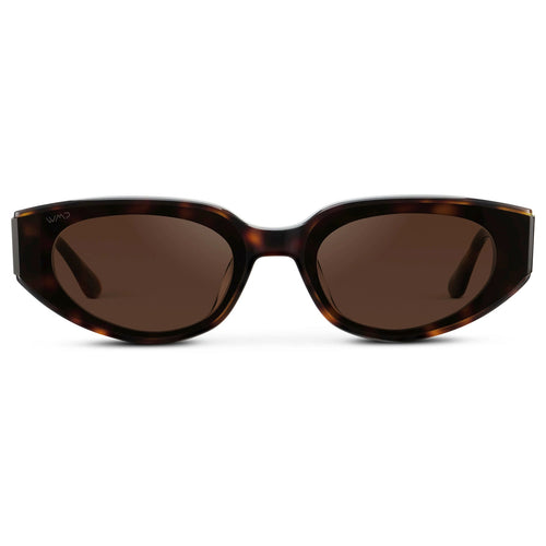ASTRA Women's Cat - Eye Sunglasses in Brown Tortoise by WMP Eyewear - PUNCH Watch & Eyewear - WMP Eyewear