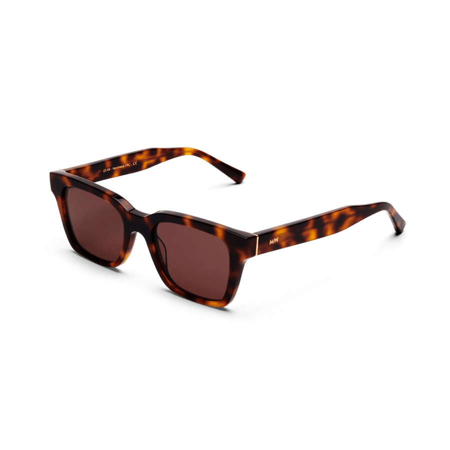 DEAN | Tortoise – 2