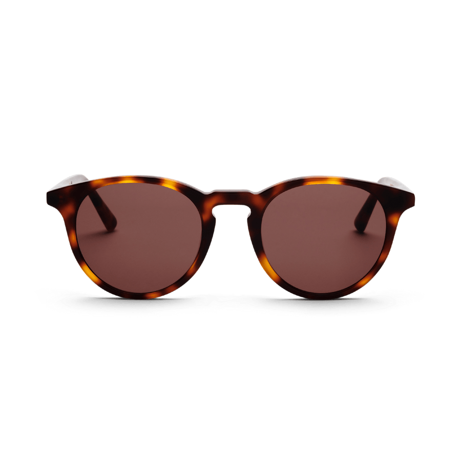 NEW DEPP | Tortoise – 1