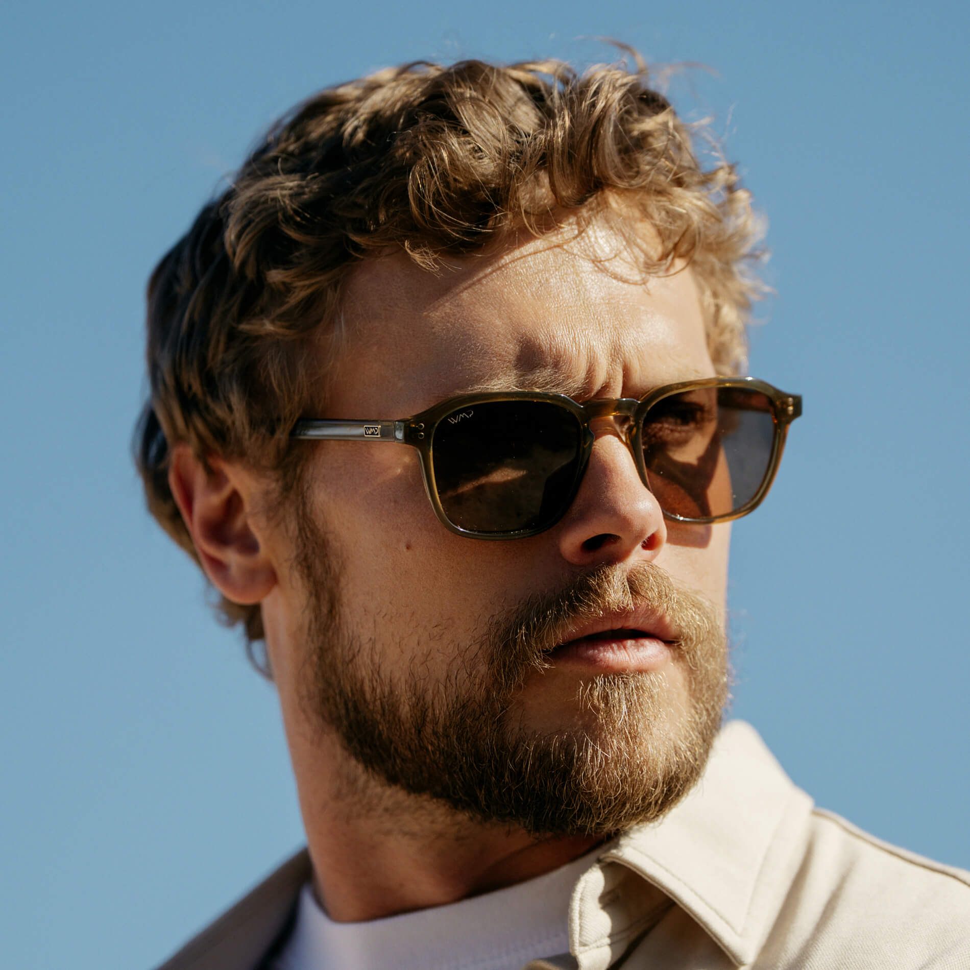 FRANCIS Men's Square Modern Retro Sunglasses in Crystal Verde by WMP Eyewear - PUNCH Watch & Eyewear - WMP Eyewear