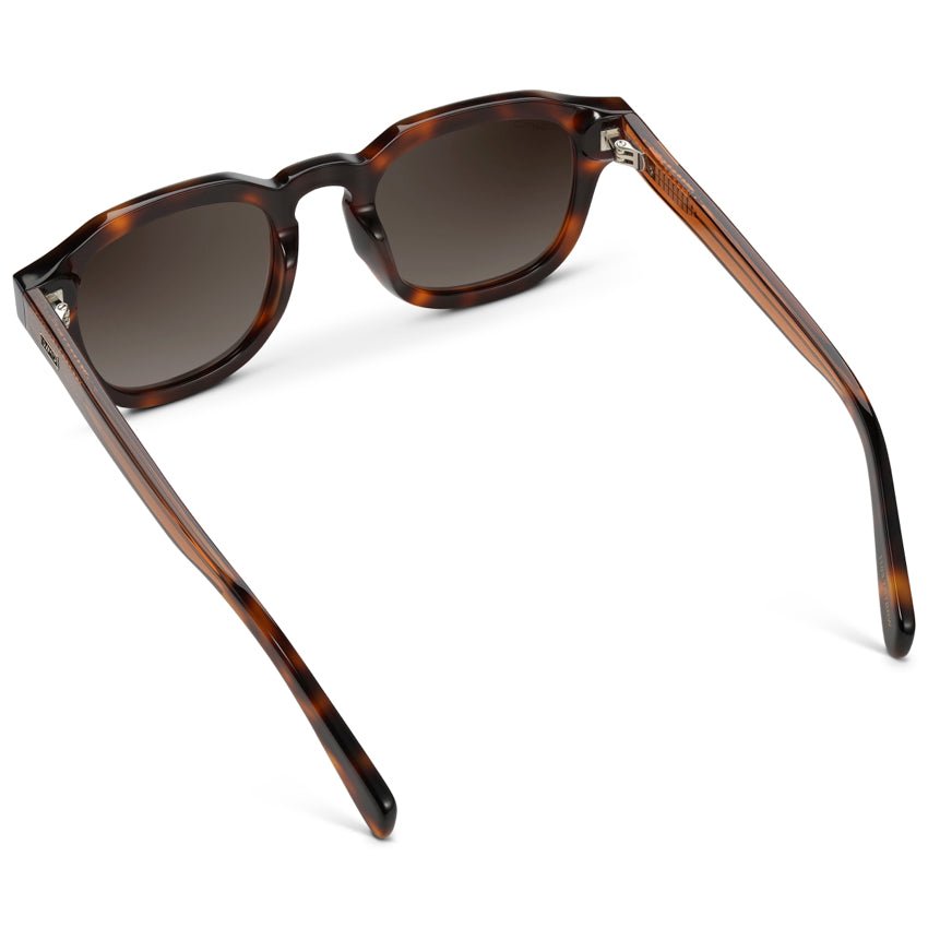 NELSON Retro Thick Framed Polarized Men's Sunglasses in Havana Tortoise by WMP Eyewear - PUNCH Watch & Eyewear - WMP Eyewear