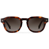 NELSON Retro Thick Framed Polarized Men's Sunglasses in Tortoise by WMP Eyewear