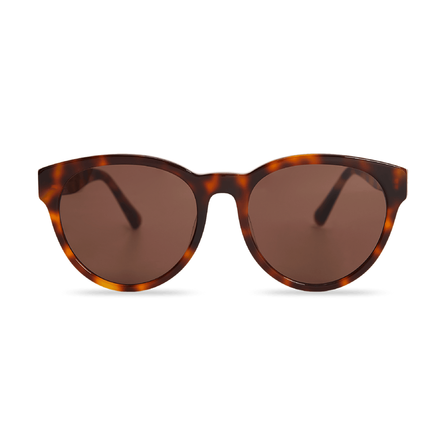 RITA | Tortoise – 1