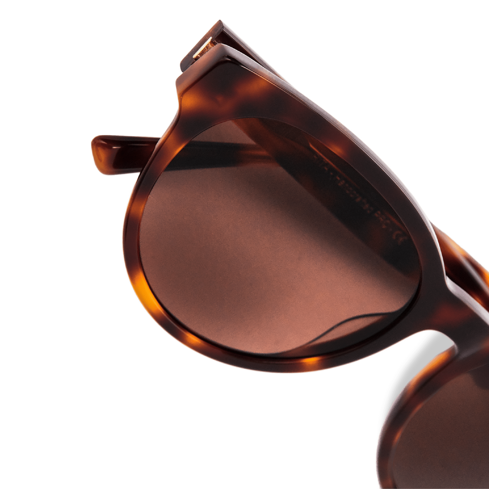 RITA Tortoise Brown Sunglasses by Messy Weekend - PUNCH Watch & Eyewear - MESSY WEEKEND