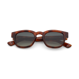 TEO Bold Navigator Sunglasses - Burnt Havana Tortoise fmr Austin by Messy Weekend