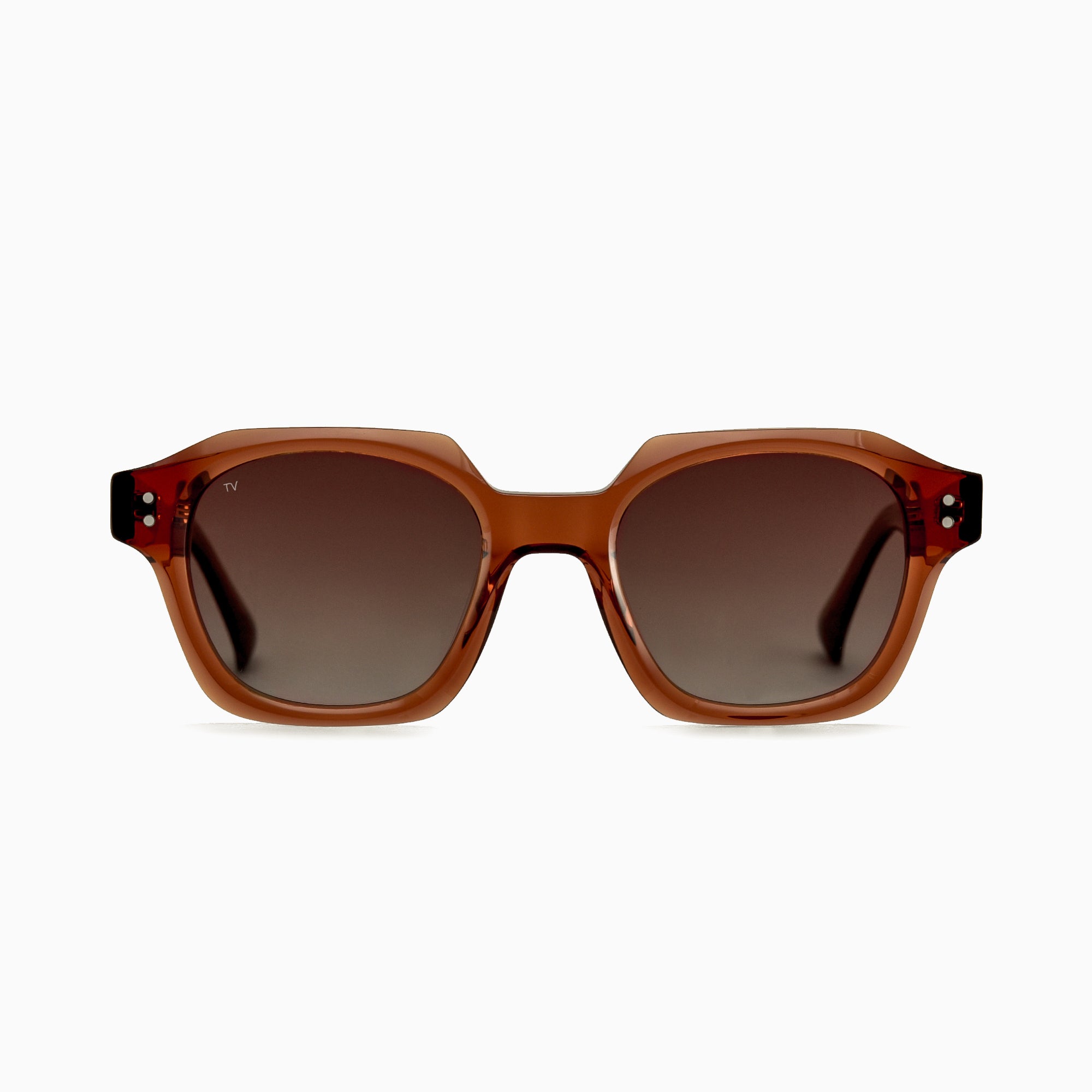 THEO Polarised Sunglasses, Unisex, Brown by TrueVivid - PUNCH Watch & Eyewear - TRUEVIVID