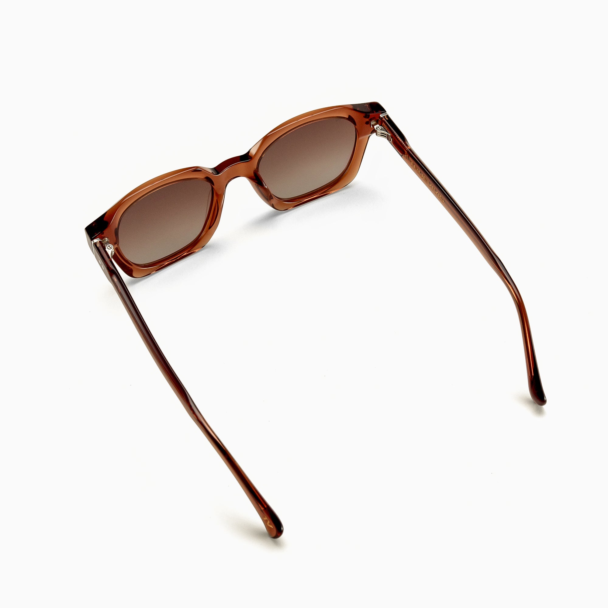 THEO Polarised Sunglasses, Unisex, Brown by TrueVivid - PUNCH Watch & Eyewear - TRUEVIVID