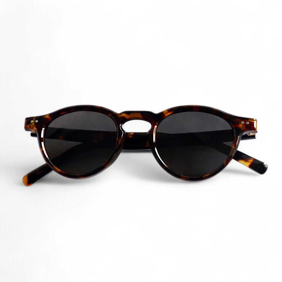 REN | Tortoise – 3