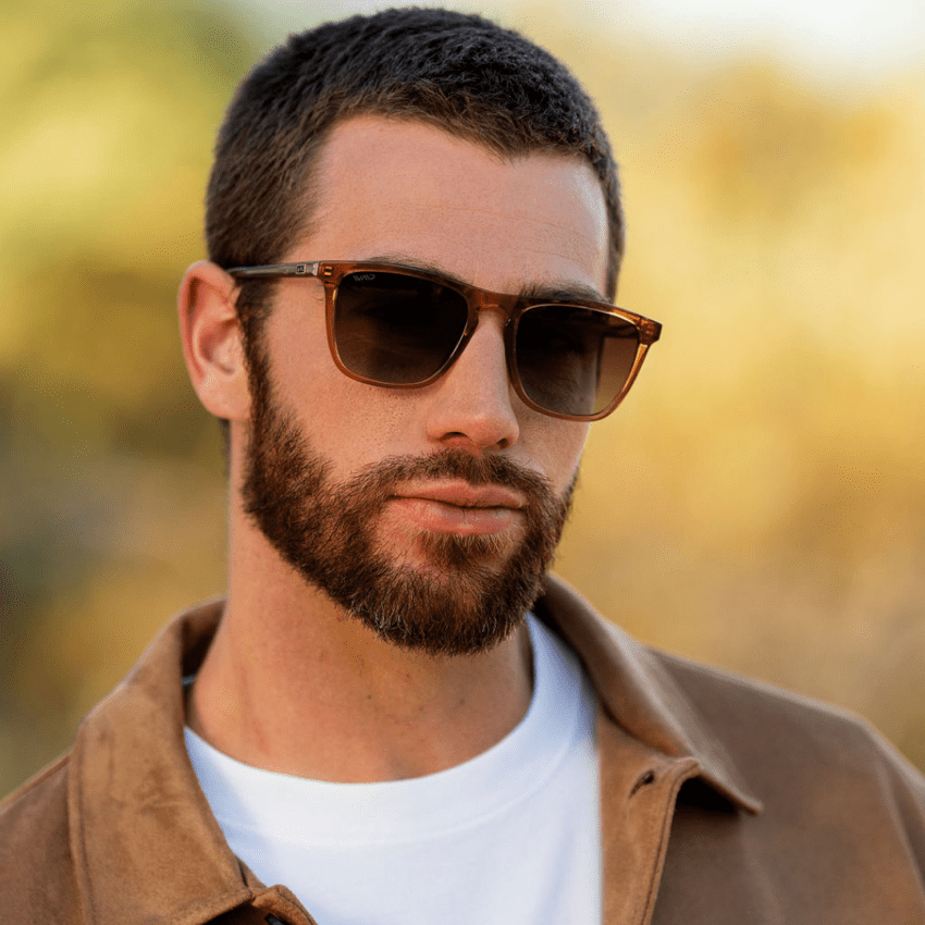 WESLEY Polarized Men's Sunglasses in Crystal Brown by WMP Eyewear - PUNCH Watch & Eyewear - WMP Eyewear