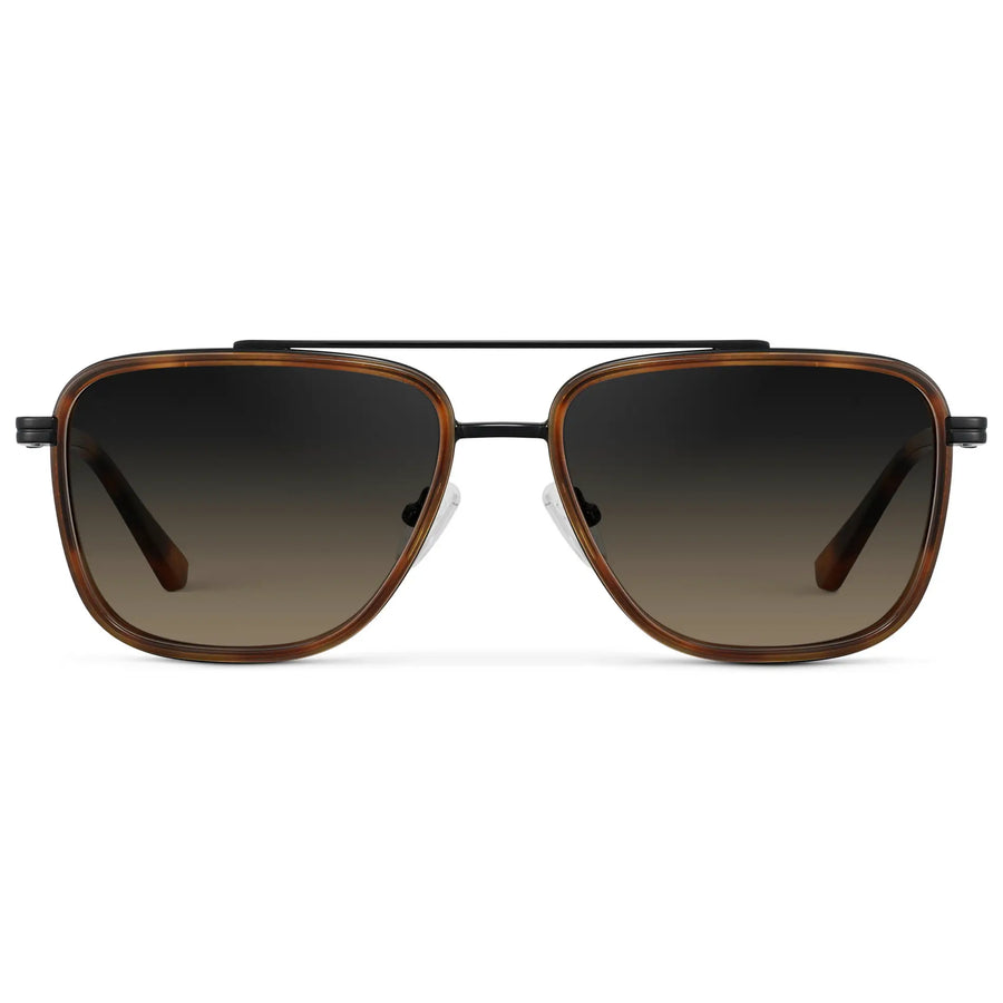 WESTON | Tortoise – 1