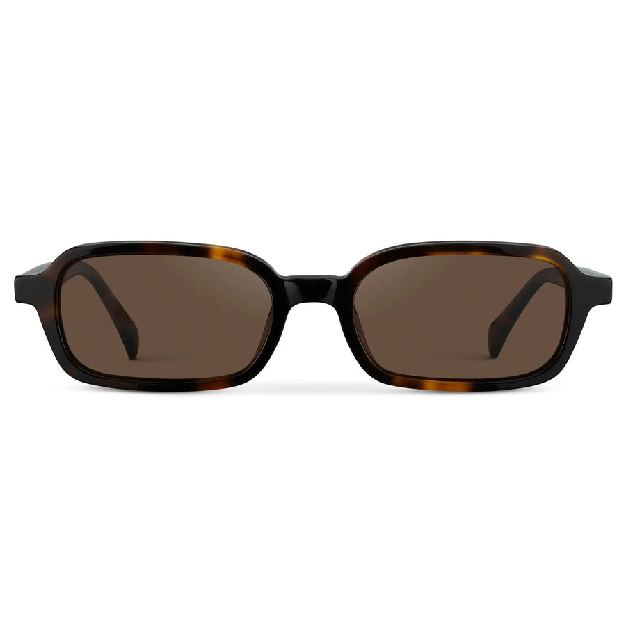 AYLA | Tortoise – 1