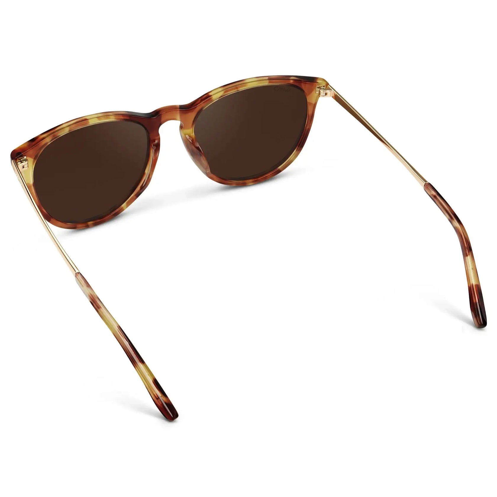 DREW Round Polarised Women's Sunglasses in Maple Tortoise by WMP Eyewear - PUNCH Watch & Eyewear - WMP Eyewear