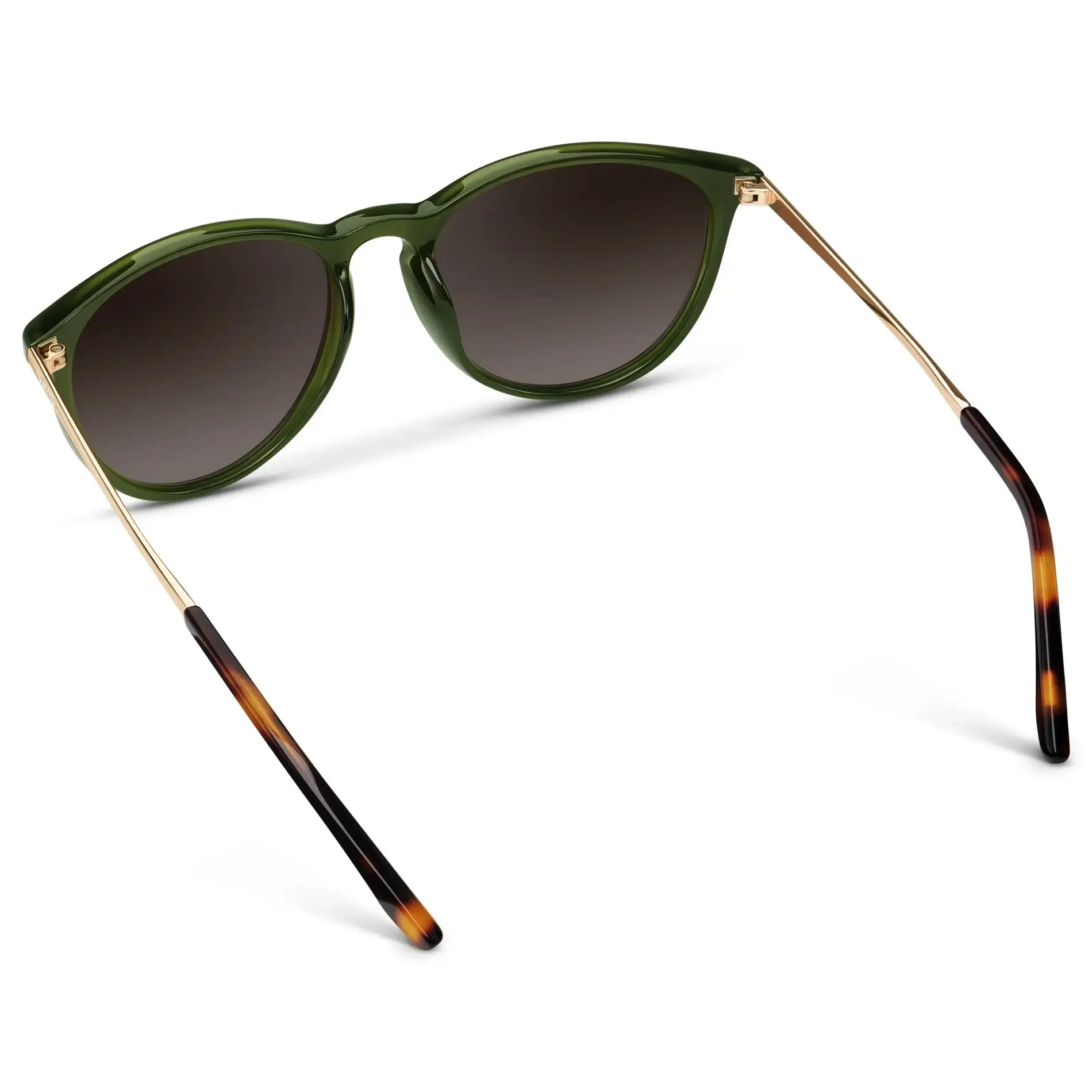 DREW Round Polarised Women's Sunglasses in Oliver Green/Gold by WMP Eyewear - PUNCH Watch & Eyewear - WMP Eyewear
