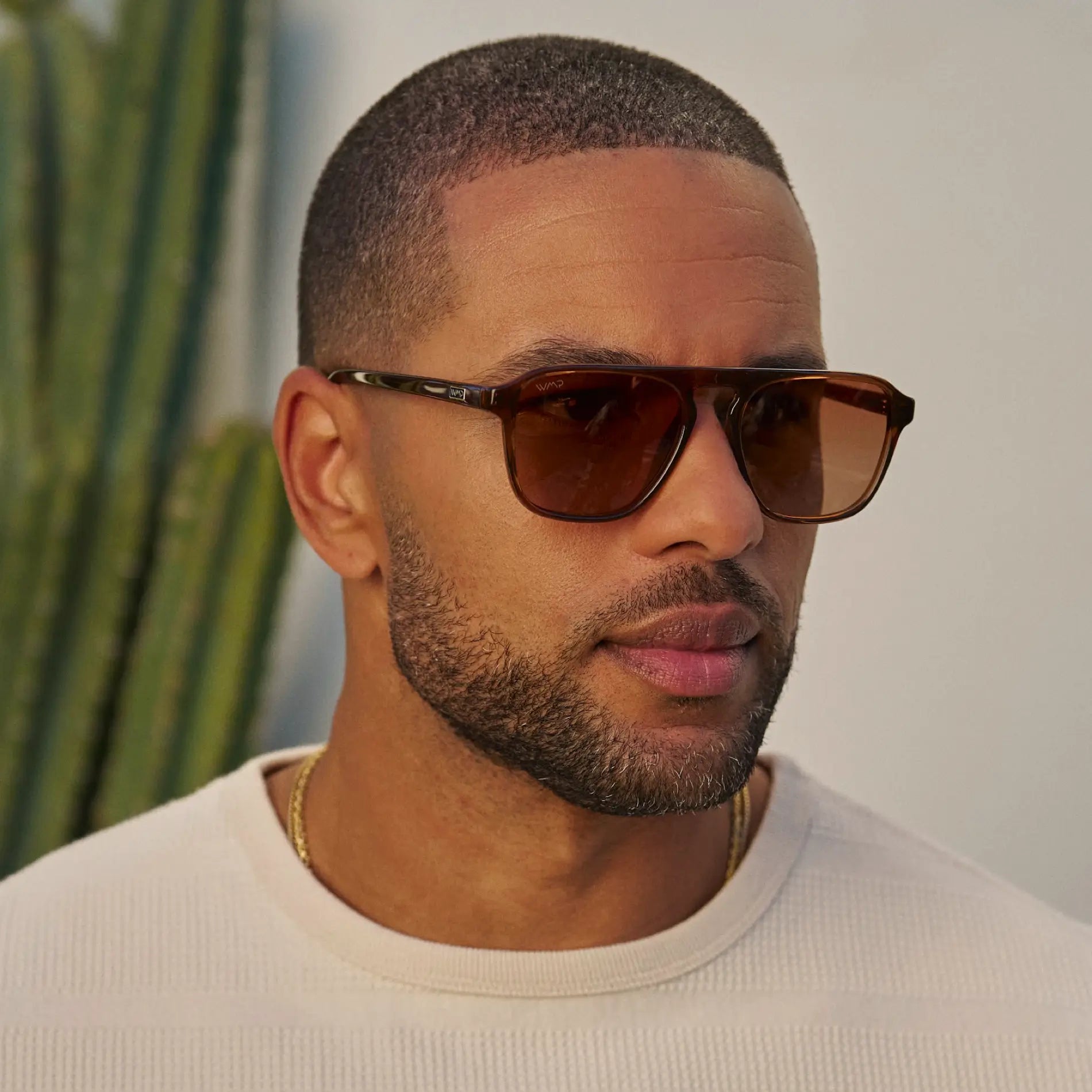 EMERSON Unisex Square Aviator Sunglasses in Terracotta Brown WMP Eyewear - PUNCH Watch & Eyewear - WMP Eyewear