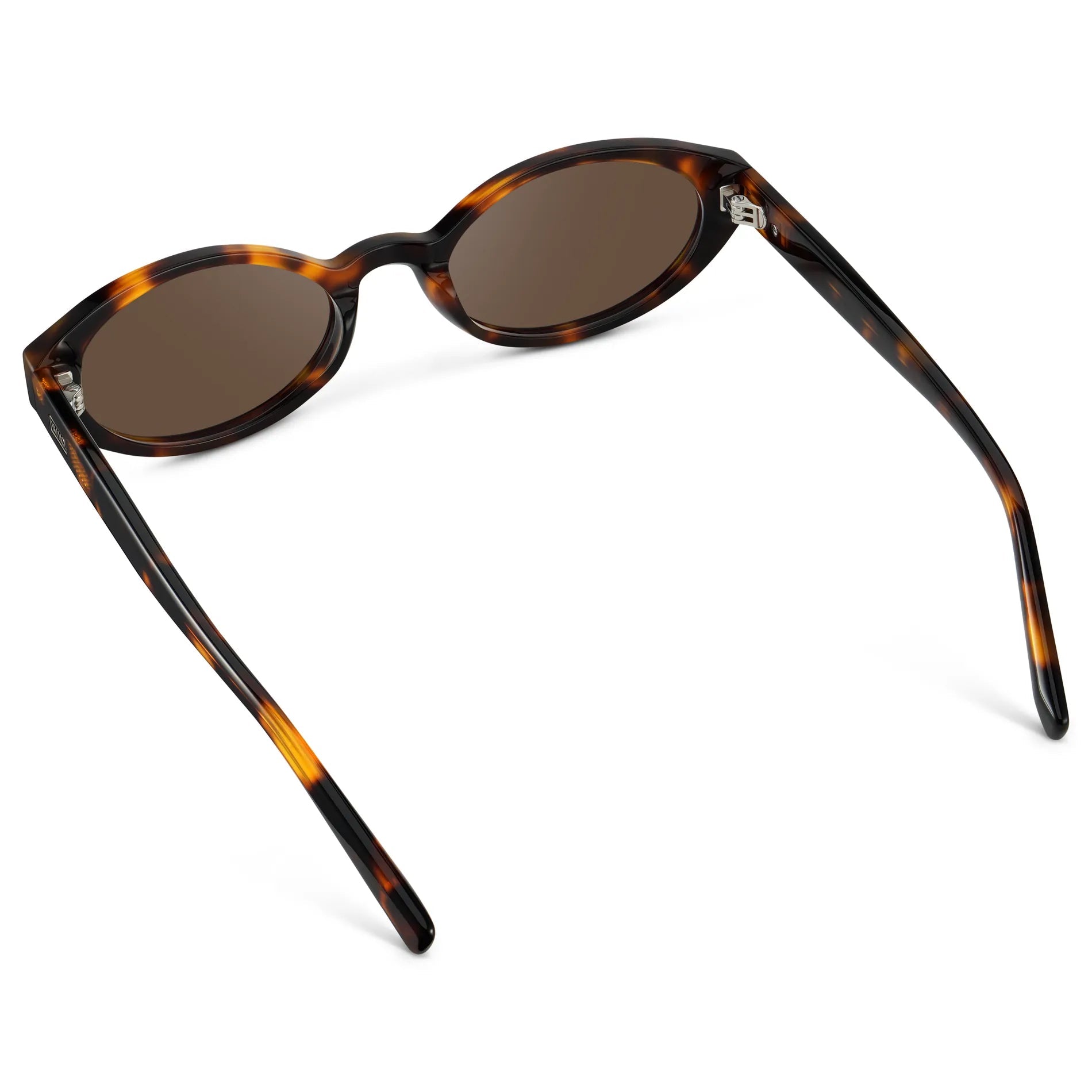 ESME Classic Oval Women's Sunglasses in Brown Tortoise by WMP Eyewear - PUNCH Watch & Eyewear - WMP Eyewear