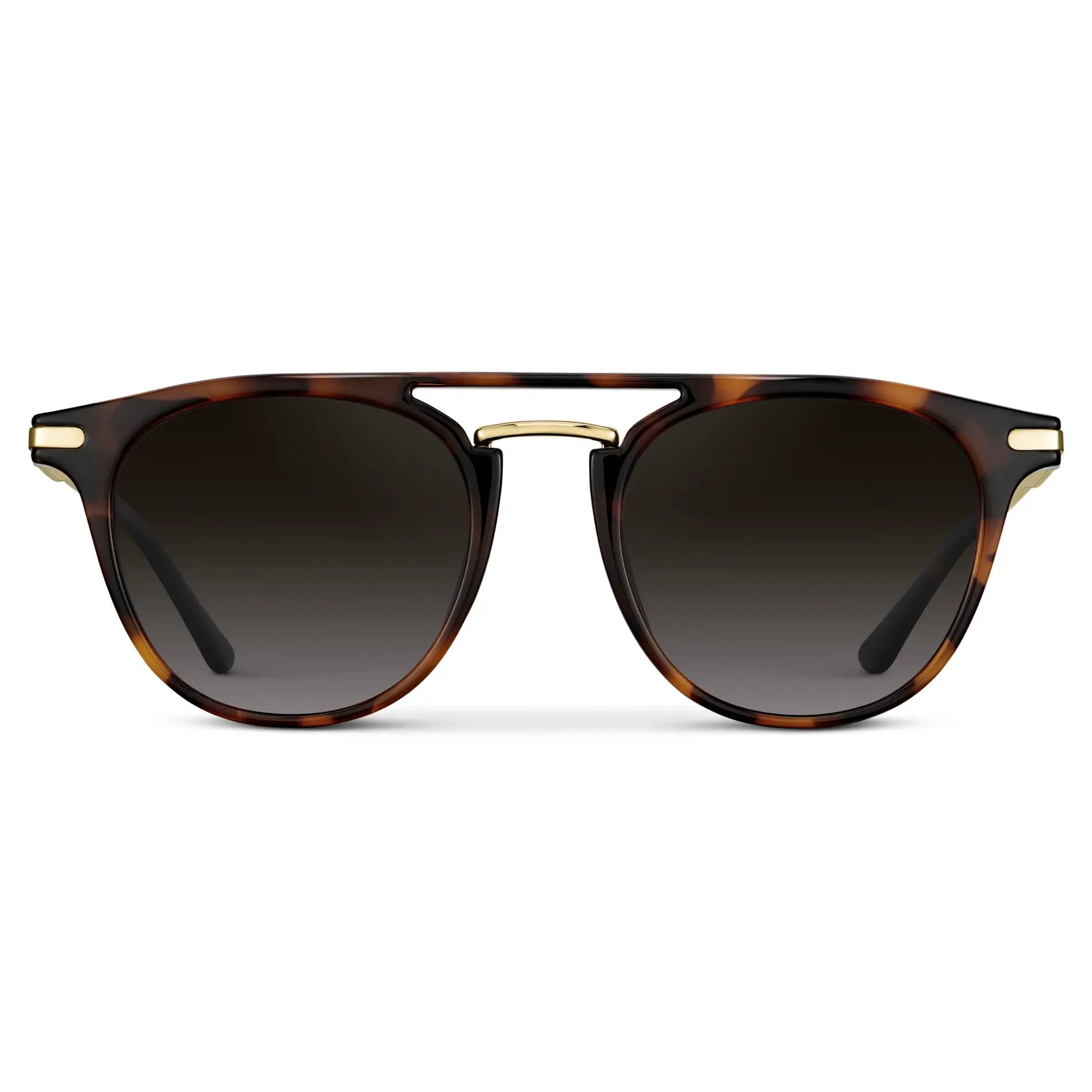 HAYES Men's Keyhole Round Sunglasses l Brown Tortoise / Gold - WMP Eyewear - PUNCH Watch & Eyewear - WMP Eyewear