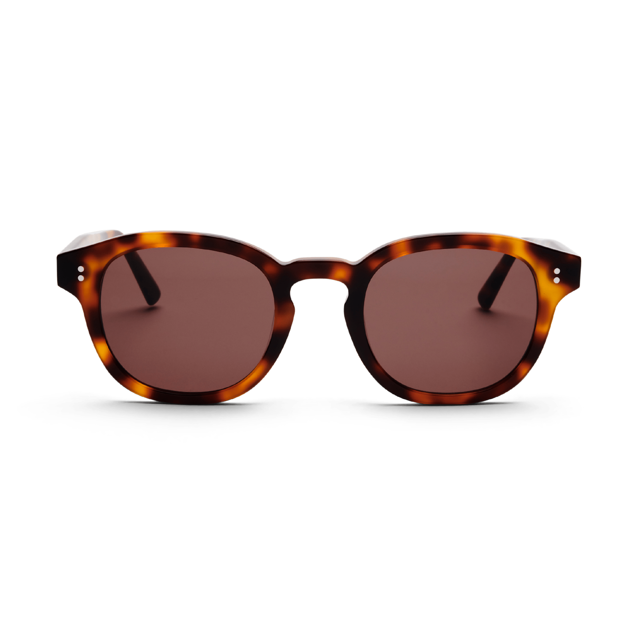 Messy Weekend Bille Rounded Square Sunglasses - Tortoise Gradient Brown - PUNCH Watch & Eyewear - MESSY WEEKEND