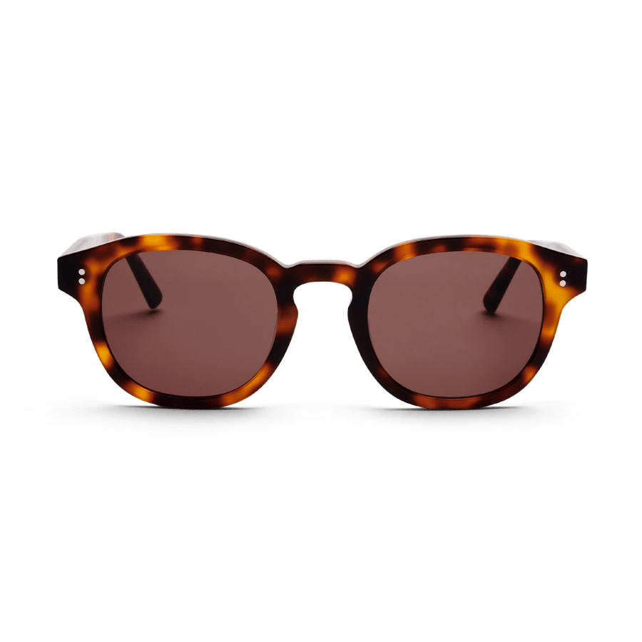 BILLE | Tortoise – 1