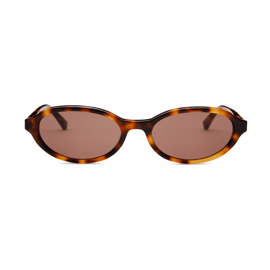 IVY | Tortoise – 1