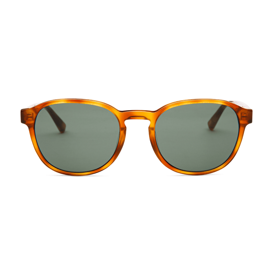 RYAN | Havana Tort – 1