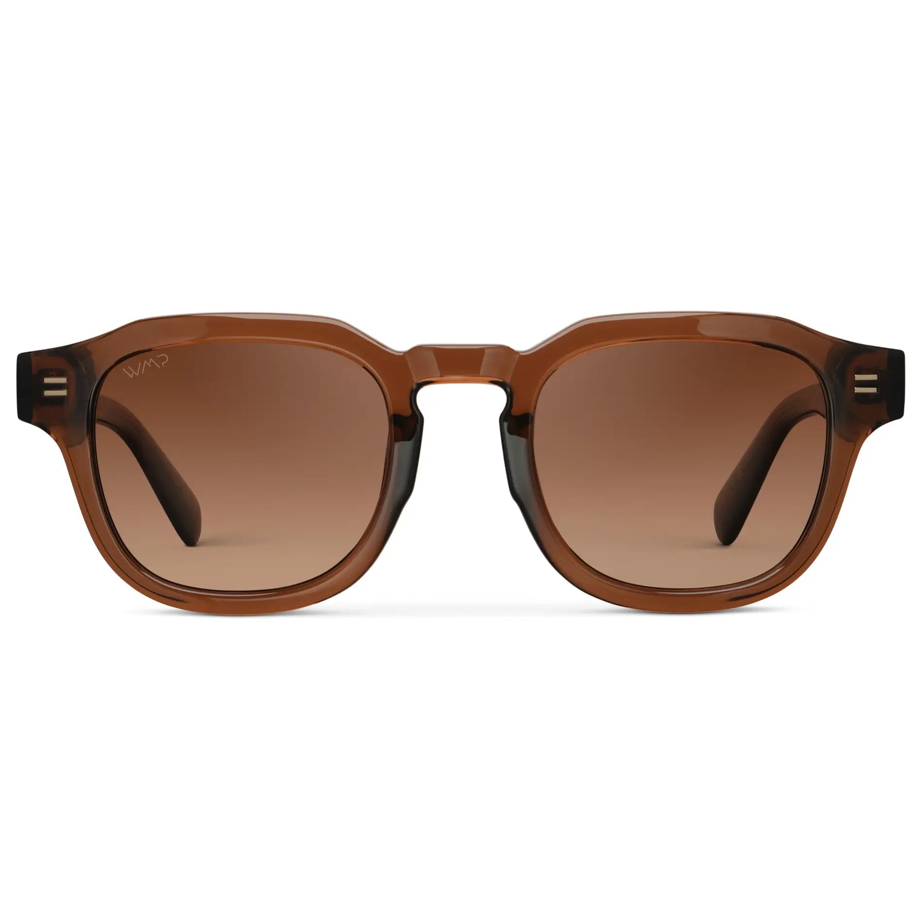 NELSON Retro Thick Framed Polarised Men's Sunglasses in Brown WMP Eyewear - PUNCH Watch & Eyewear - WMP Eyewear