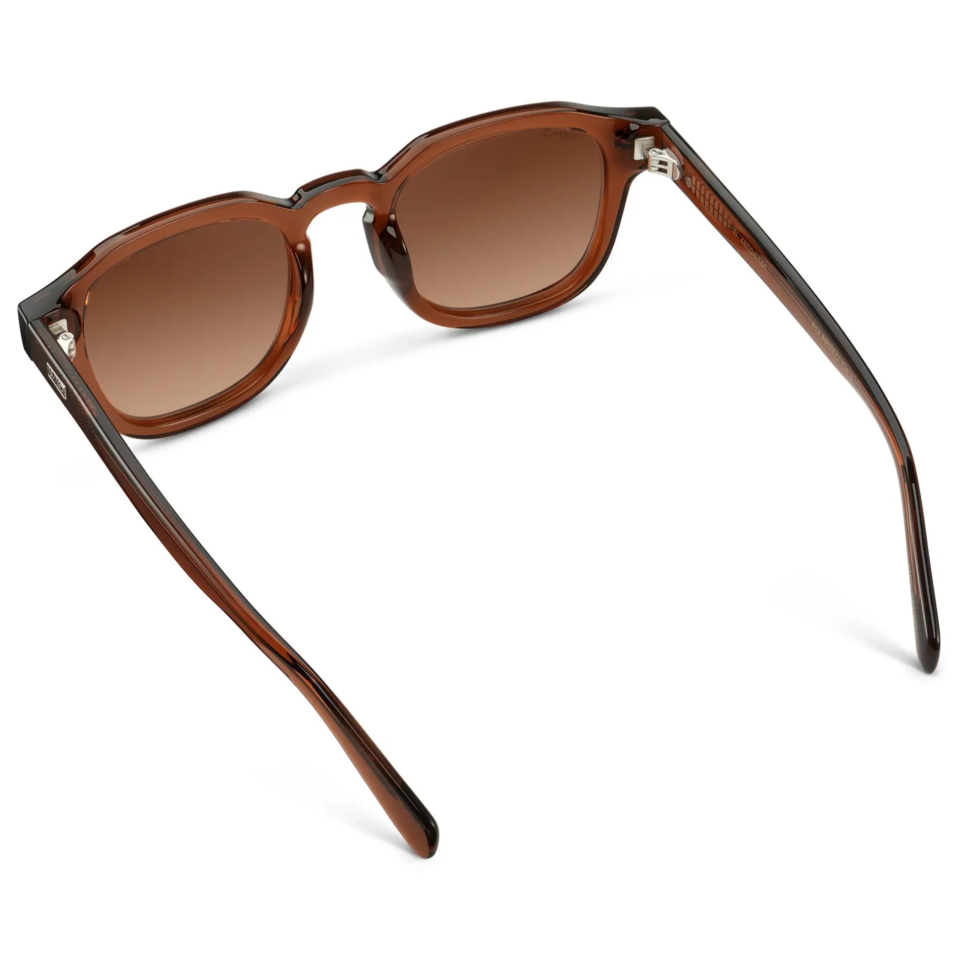 NELSON Retro Thick Framed Polarised Men's Sunglasses in Brown WMP Eyewear - PUNCH Watch & Eyewear - WMP Eyewear