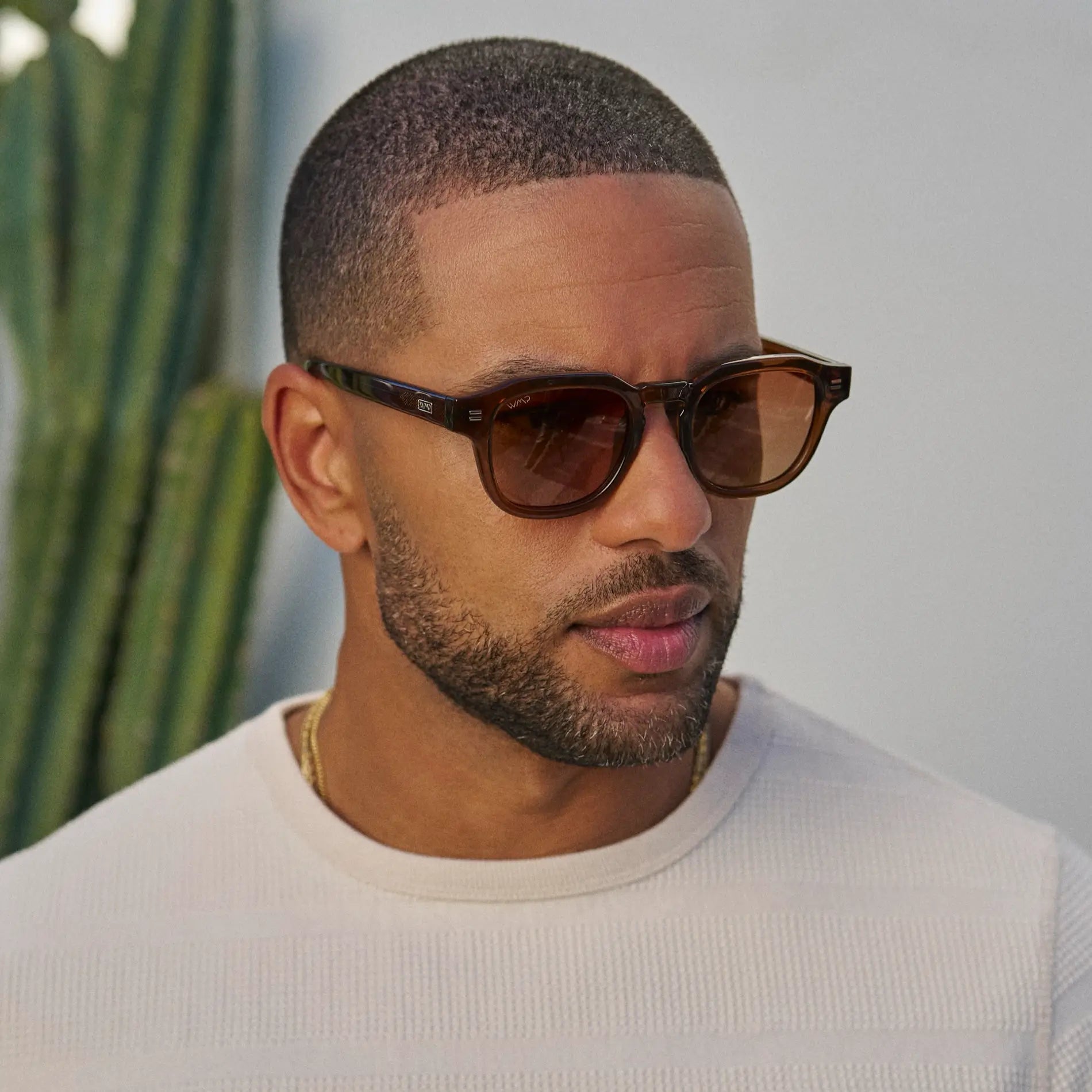 NELSON Retro Thick Framed Polarised Men's Sunglasses in Brown WMP Eyewear - PUNCH Watch & Eyewear - WMP Eyewear