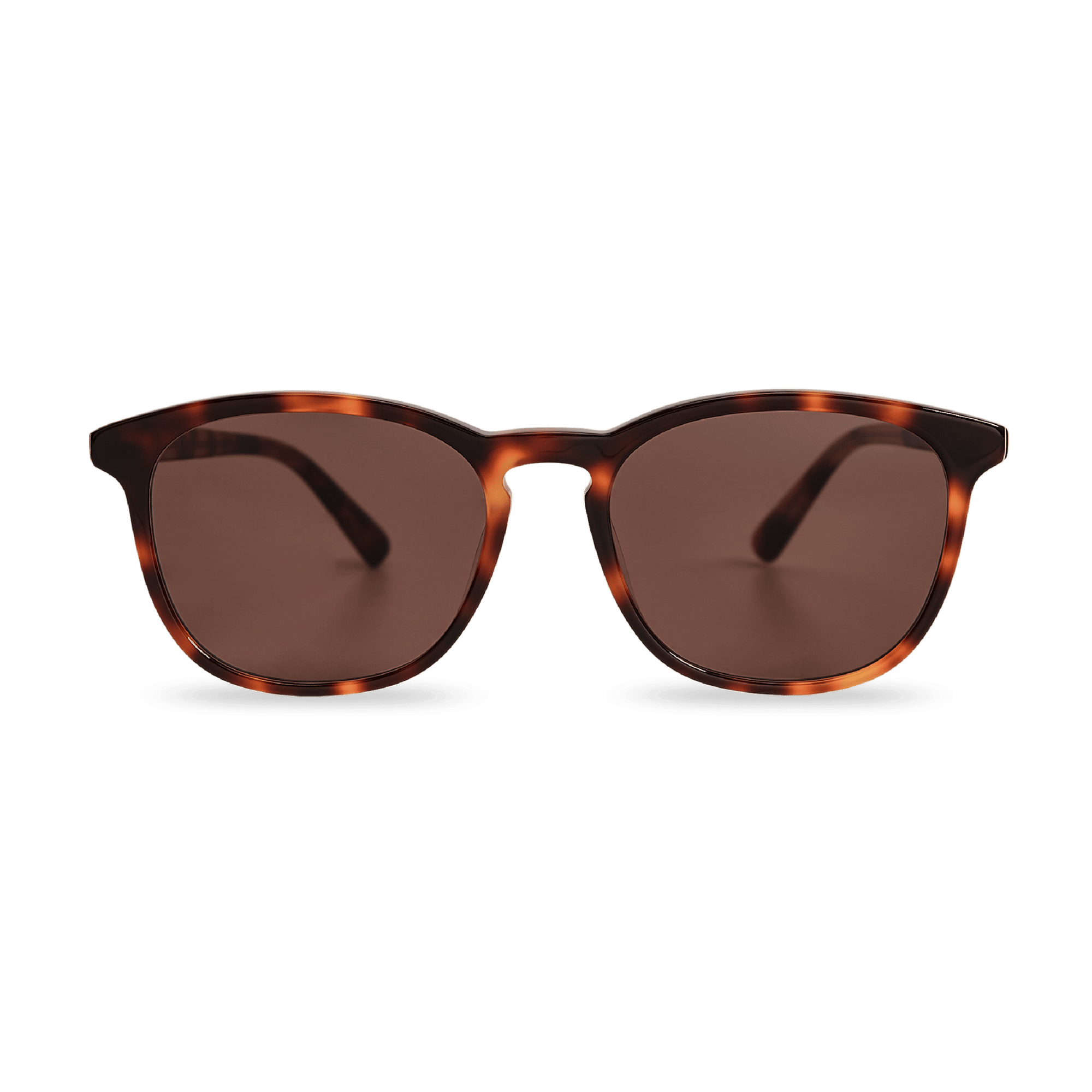 SEAN Brown Tortoise Large Fit Sunglasses by Messy Weekend - PUNCH Watch & Eyewear - MESSY WEEKEND