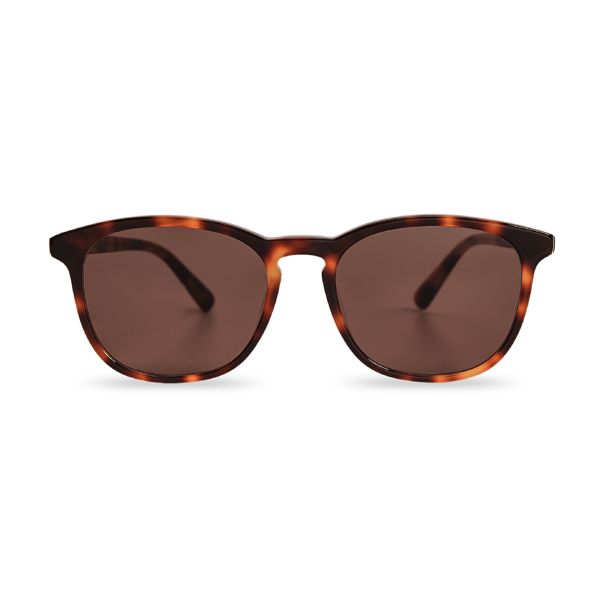 SEAN Brown Tortoise Large Fit Sunglasses by Messy Weekend - PUNCH Watch & Eyewear - MESSY WEEKEND