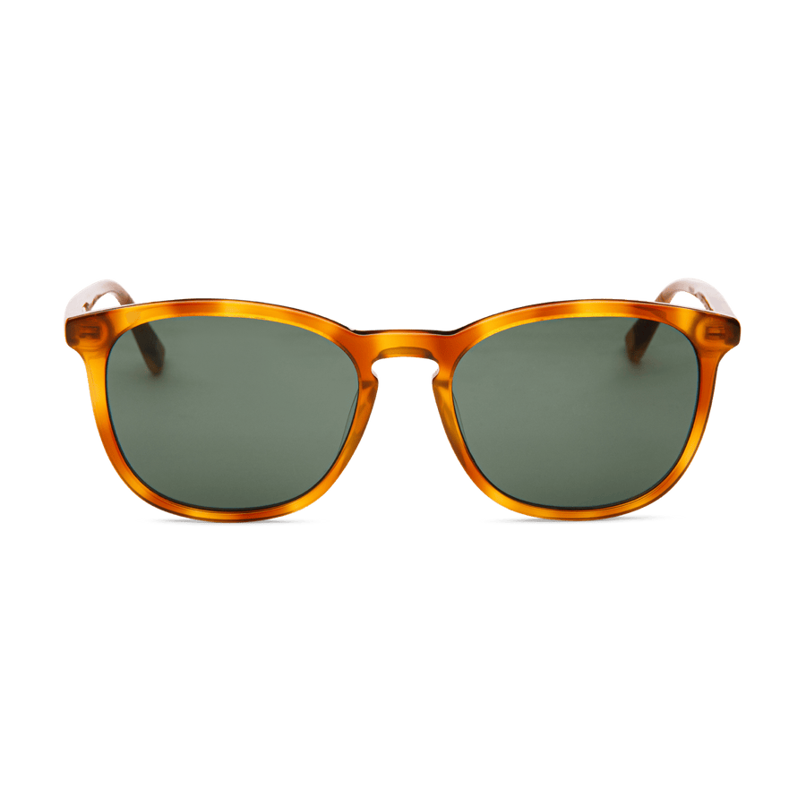 SEAN | Hav Tortoise – 1