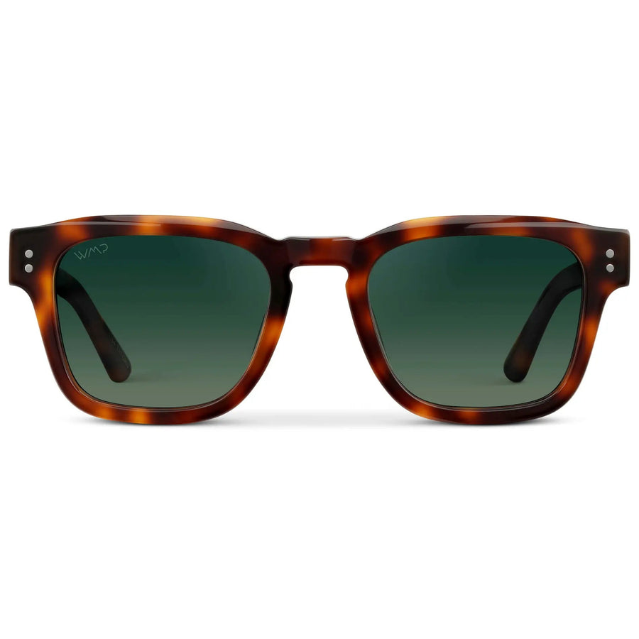 WAYNE | Tortoise – 1