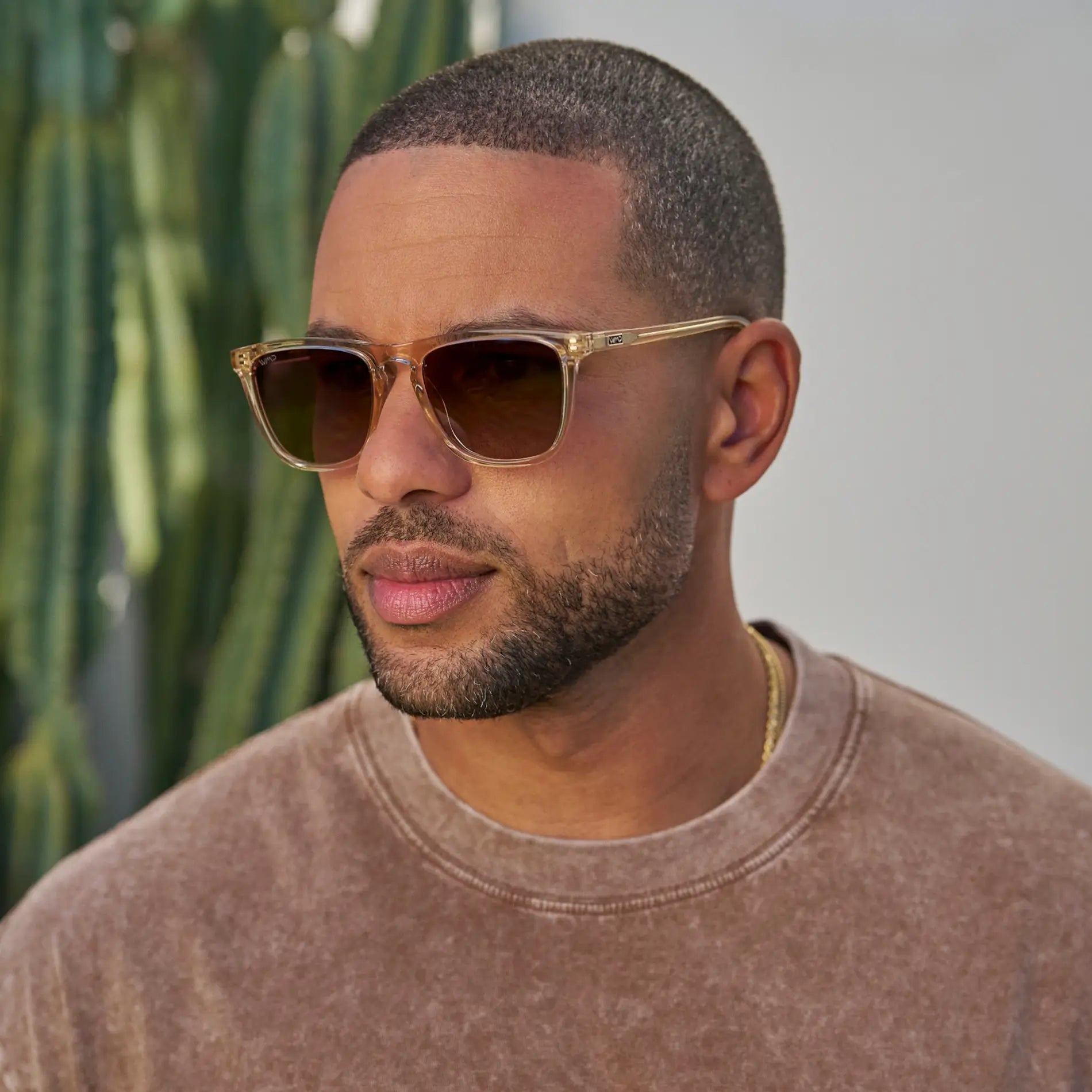 WESLEY Polarised Men's Sunglasses in Crystal Sand Brown WMP Eyewear - PUNCH Watch & Eyewear - WMP Eyewear