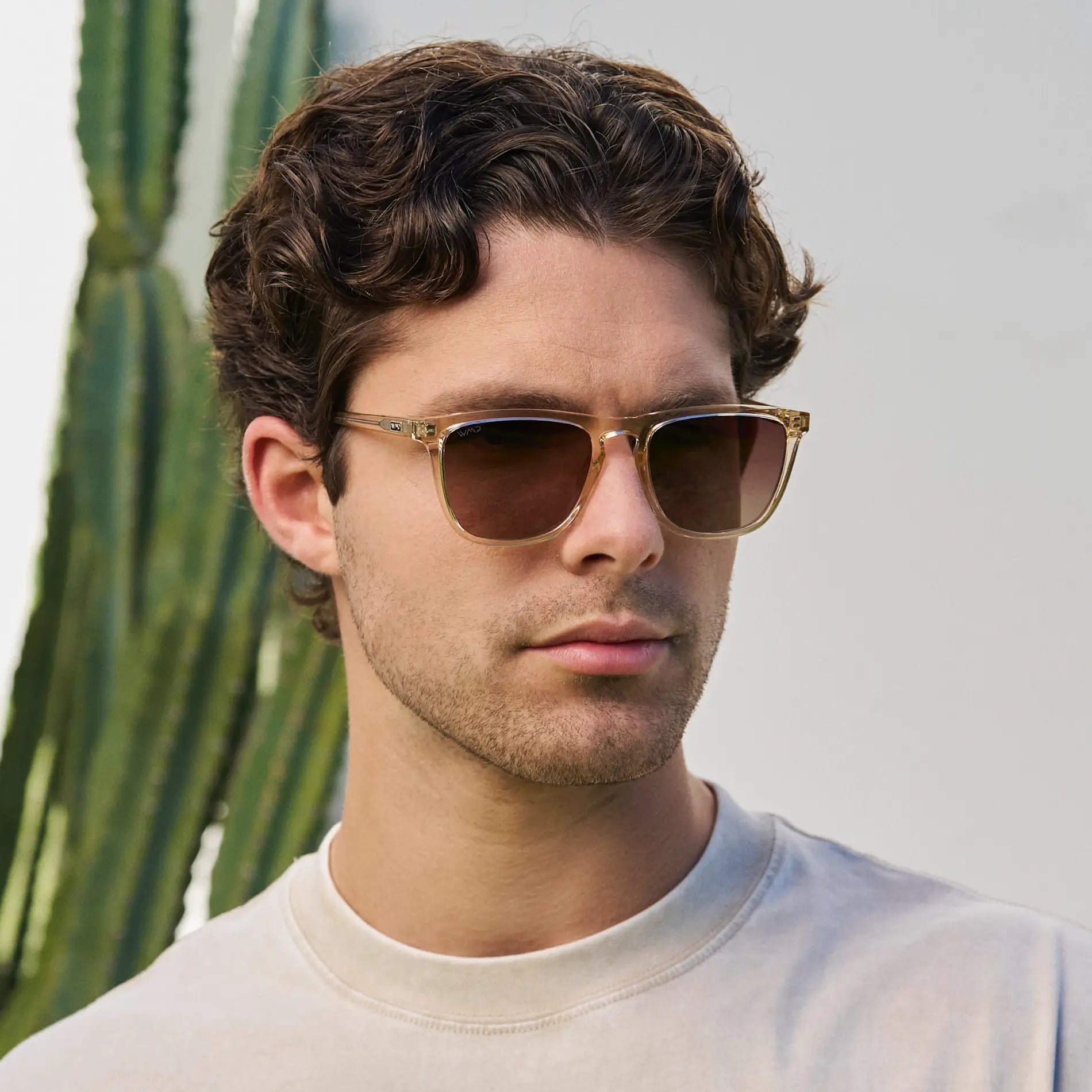 WESLEY Polarised Men's Sunglasses in Crystal Sand Brown WMP Eyewear - PUNCH Watch & Eyewear - WMP Eyewear