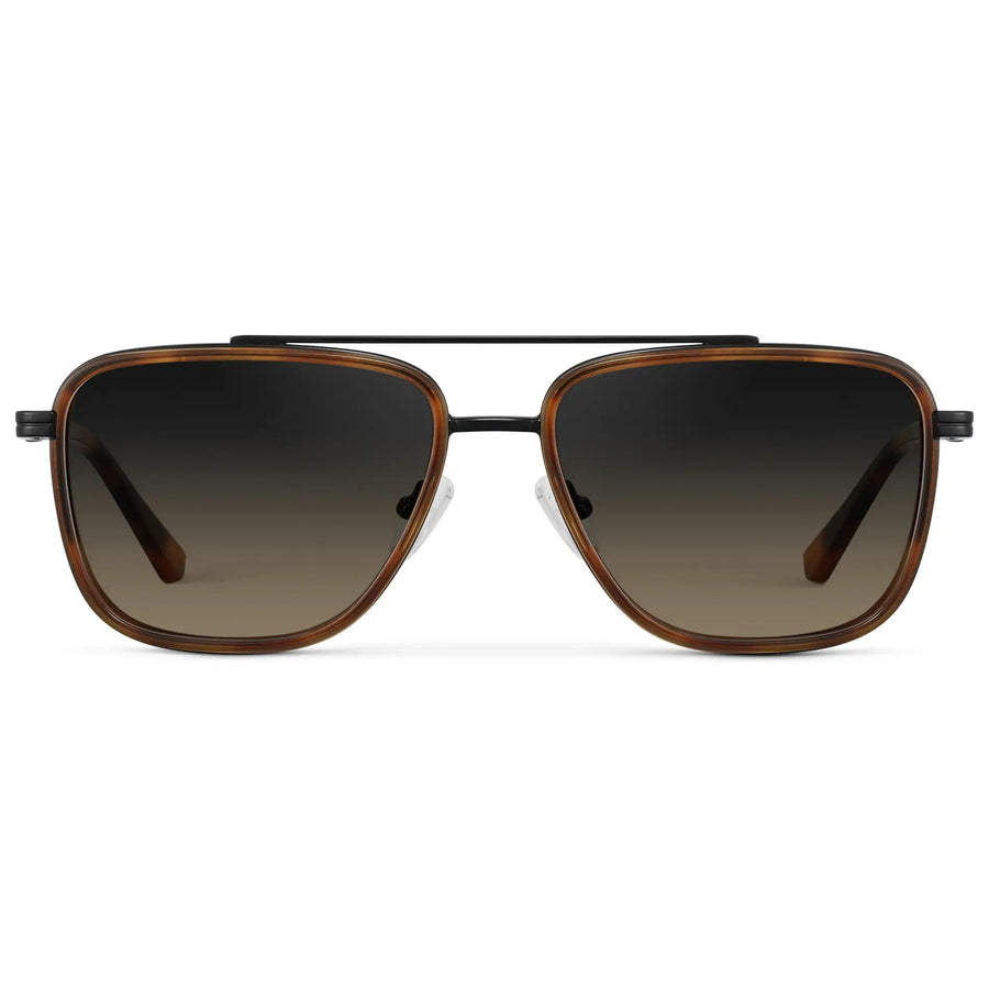 WESTON | Tortoise – 1